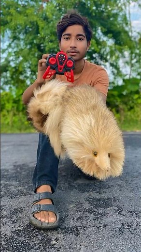 New model Rc ￼snake unboxing and testing ￼🚀