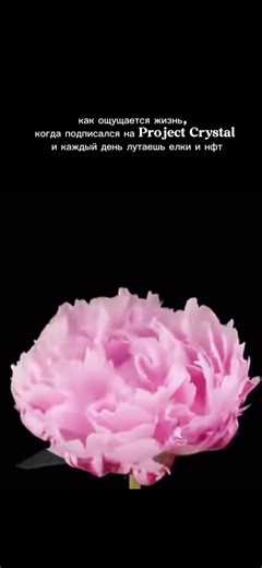 Сразу перезалив на 5 просмотров #fyp #нфт #подаркинфт