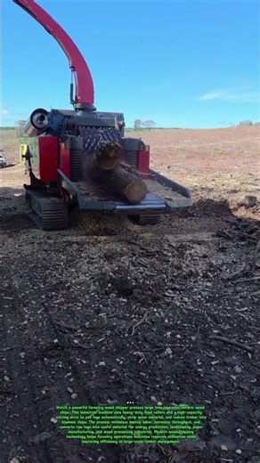 High-Speed Forestry Wood Chipper Turns Massive Logs Into Valuable Biomass