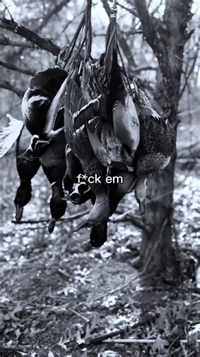 Grind Explained: What It Means to Hustle