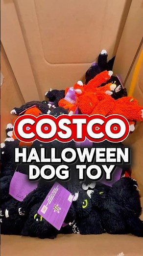 These Halloween Dog Toys Are TOO CUTE! 👻🐶#costcofinds #dogtoys