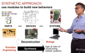 【iBiology】Wendell Lim: Synthetic Biology, Building Cell Signaling Networks