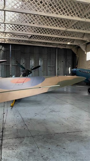 9K views · 256 reactions | Supermarine Spitfire Mk Vb BM597 at Imperial War Museum Duxford. A combat veteran, she served with Nos 315 (City of Dęblin) and 317 (City of Wilno) Polish Fighter Squadrons. #ww2 #polishairforce #poland #WWII #warbirds Polish Heritage Flight | Daniel J Wheatcroft | Facebook