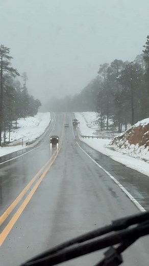 9 comments | It’s snowing | Torrey Whitted | Facebook