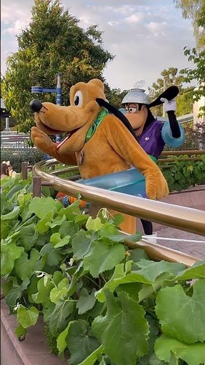 Pluto & Goofy at Disneyland 🦴 #disney #disneyland #disneyparks #disneycharacters #pluto #shorts