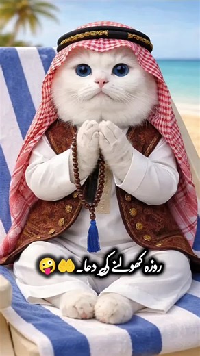 please Tiktok team don't under review my videos please 🙏@ᒪᗩᎥᗷᗩᗯᖇᎥ丅ᗴᔕ🥰 @zofiaa0314 @tiktok creators #foryoupage #fyp #viral #trending