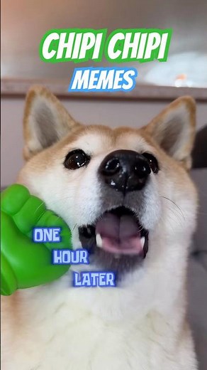 Dubidubi random memes BORKUP