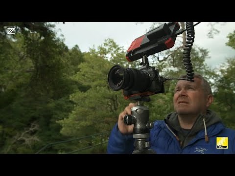 Nikon Z tips: NLOG Timecode