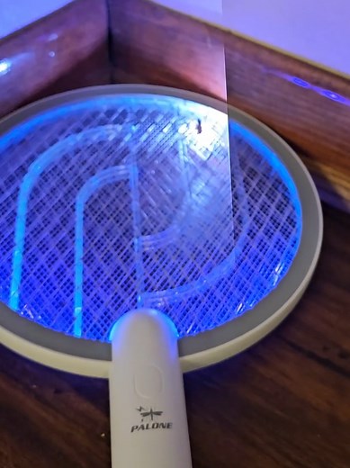 Electric Bug Zapper: A Cautionary Tale