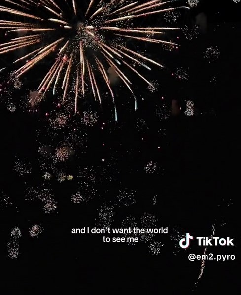 #pyromusical2025 #fireworks