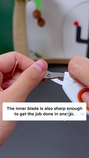 How to Trim Your Cat's Nails Safely and Easily