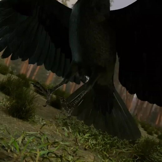 Why Crows Sit on Anthills: Curious Behavior Explained