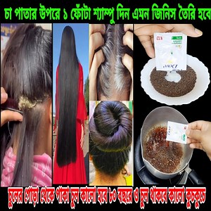 5.5M views · 37K reactions | চা পাতার উপর ১ ফোঁটা শ্যাম্পু ঢালুন চুলের গোড়া থেকে পাকা চুল কালো হবে ৮০ বছরের চুল থাকবে কালো কুচকুচে #foryoupage #foryouシ #fb #tips #beauty #longhair #trendingvideo | BD kitchen tips | Facebook