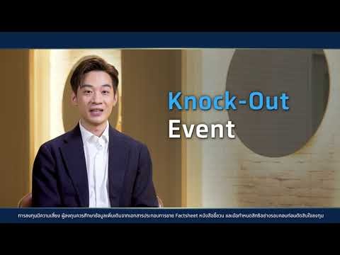 Krungthai Offshore KIKO Structured Note