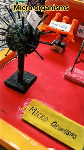 Micro organisms project model /science exhibition projects #microorganism #scienceshorts