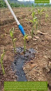 🧑‍🌾🛢️ Liquid Fertilizer Application: Wand Lance Injects Dark Nutrient Solution Around Sprout Roots