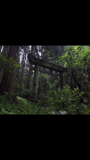 廃集落｢藤ヶ谷｣にある神社。平家の落人が隠れ住んだ地。 小雨の中、早朝に撮影。完全無加工でこの異世界感。 やっぱり雨の神社はいいね(≡^.^≡)♪ 社殿は完全に倒壊し、小さな鳥居のある祠が残る。 笠木が太く、独特の見た目をした鳥居が好き😍 神社すぐ前の鉄橋が今にも壊れそうで怖かった( ´꒳`;) 「文治4年(1188年)10月27日 平家落人楠路孝春之潜居地」と記された石碑が残る。 ⁡ 📍竜神社 - 山口 ⁡ A shrine in the abandoned village of “Fujigaya.” This was a place where fugitives from the Heike clan once hid. I took this photo early in the morning in the light rain. It has this otherworldly feel—completely unedited. There’s just something about a shrine in the rain, isn’t there? (≡^.^≡