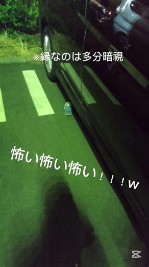 降りた時にはなくて戻ってきたらあった。#ホラー#靴#車#子供靴#shorts