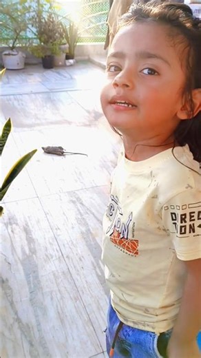 yakshit and dead rat attacked by kite & crow