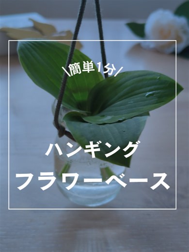 いつもの花瓶に紐を巻くだけで 吊るして飾れる ハンギングベースに🍀 グリーンを飾れば 涼しげに✨ やってみてね💛 これからも、ママ達が 笑顔になる簡単DIYを発信します✨ ＼🍀簡単なのに心地よく🍀／ ☆毎日を彩る簡単クラフト✂️ ☆全方位が嬉しいラッピング🎁 ☆作るに没入で心も整う ✨笑顔も時間も増やしましょ✨ 3人家族（パパ🧔 息子🧒12y） アラフィフ❤️ゆらぎ世代 #ライフハック #暮らしの知恵 #ハンギングベース#観葉植物#花瓶