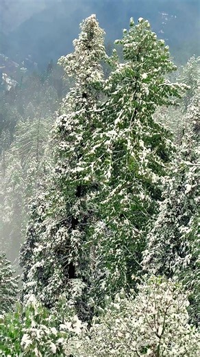 Experience Beautiful Snowfall in Murree, Pakistan