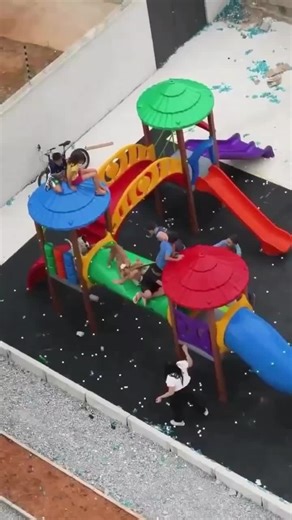 Understanding Pitbull Behavior and Incidents