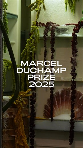 Lorsque la magie rencontre l'art ; l'univers envoûtant de Bianca Bondi 🔮 Bianca Bondi transforme les espaces en laboratoires sensoriels où objets, plantes et réactions chimiques se métamorphosent en paysages poétiques. Pour l'édition 2025 du prix Marcel Duchamp, l’artiste sud-africaine et italienne présente « Silent House » : une pièce entière emplie de mobilier usé, de plantes et de bassins salins, portant les traces du temps. 📅 Visitez l'exposition du prix Marcel Duchamp 2025 au Musée d'Art