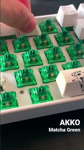 Akko Matcha Green / 530 Baht?