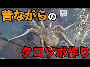 タコの漁獲量増加へ！放流用に使われる昔ながらのタコツボ 日本財団 海と日本PROJECT in やまぐち 2019 #20