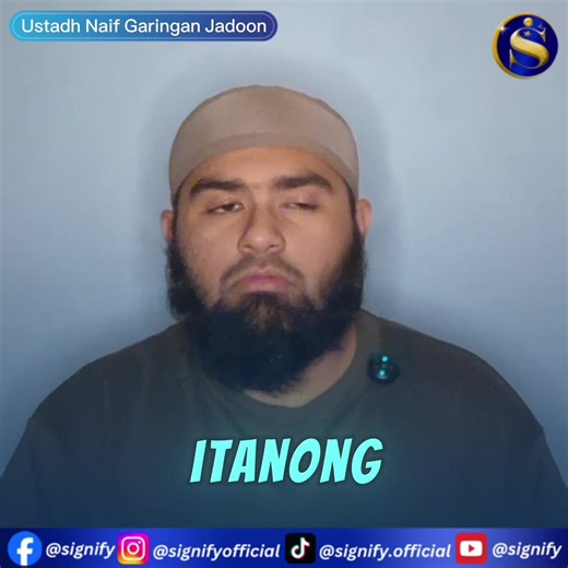 Signify (@signify.official)’s videos with original sound - Signify