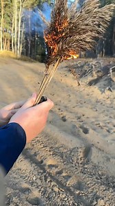 Visual asmr #asmr | Ti Ti