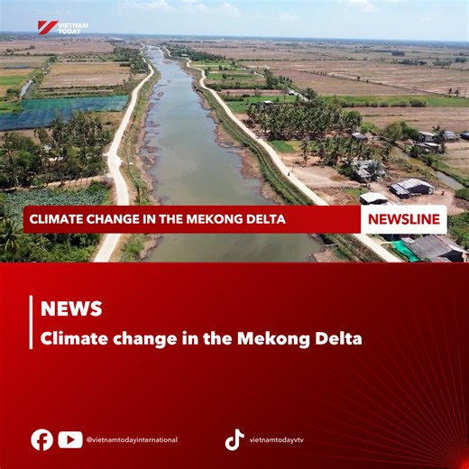 Recent extreme weather events have highlighted the serious challenges Vietnam faces from climate change. In the Mekong Delta, the country’s largest hub for agriculture and aquaculture, these impacts have become increasingly visible, forcing millions of residents to confront unprecedented difficulties. #VietnamToday #YourWindowonVietnam #VTV #MekongDelta #climatechange #agriculture #aquaculture | Vietnam Today