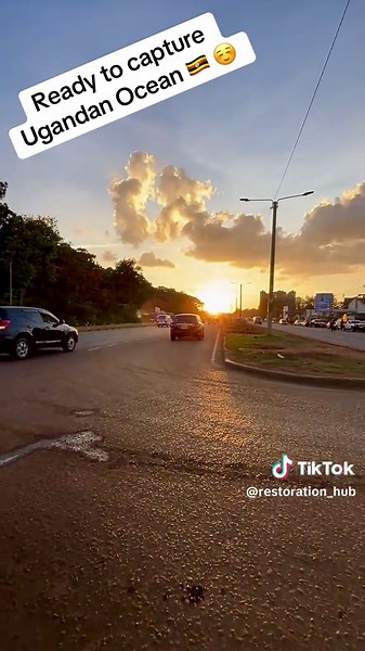 Restoration Projects: Celebrating 7 Years of Success