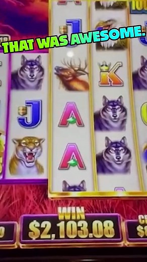 Over $400,000.00 In Slot Machine JACKPOTS! #reels #slot #slotmachines #jackpot #slotmachinejackpot #casino | SDGuy1234