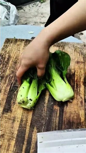 Ab 11112554846 mini rotary tillage and ridging all-in one trees, plants short #travel#beach #flowers