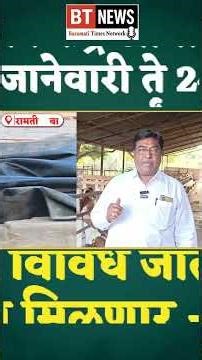#krushik2026 #news #ytshorts #btnews #viralnews #kisan #agriculture #शेळीपालन #प्रदर्शन #शेती #short