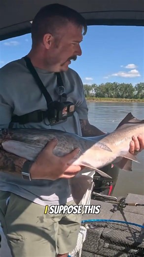 Accidentally catching a Paddlefish?!