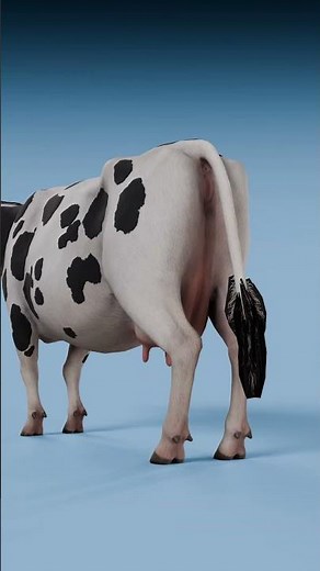 Mouse Fart vs Godzilla Fart