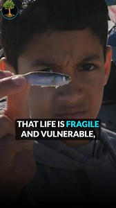 27K views · 281 reactions | Empathy isn’t a learned skill—it’s part...