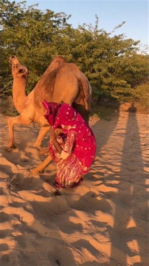 لماذا سقطت المرأة فجأة إلى الخلف؟