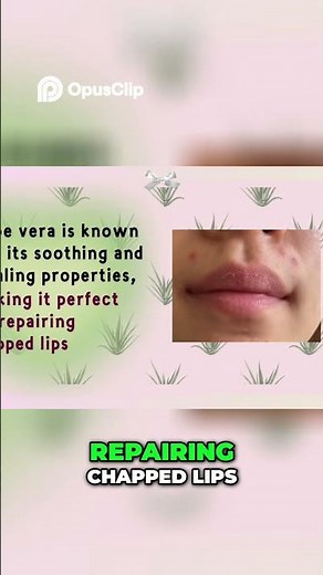 What Makes ALOE VERA Gel And Olive Oil A Perfect Combo For Your Lips?