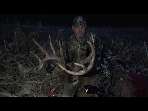 Whitetail Edge: Illinois Buck Rut Action 173" of Awesome!