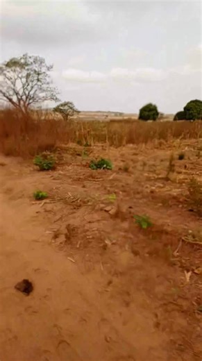 Into the mines... #lithiumore #spodumene #mining #mininglife | JOVIALng | Facebook