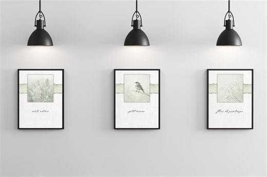 French Farmhouse Botanical Prints | Vintage Bird, Floral Wall Art (digital Download) - Etsy