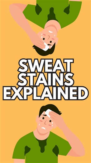 Sweat can stain, bleach, and discolor your clothes. It’s important to know the difference so you don’t waste your time trying to remove a bleach stain. Sebum, or body oil, will turn yellow and oxidize overtime (just like what happens to an apple when you cut into it). This can be corrected with oxygen bleach like hydrogen peroxide or powdered oxygen bleach. However, sweat can also bleach and discolor garments by disrupting the dye. This is not fixable so you should not waste your time. I hope th