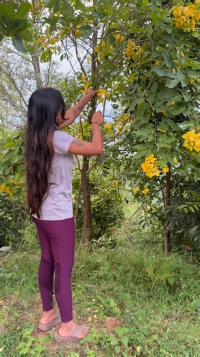 KUMARA N on Instagram: "Beans Maram and hybrid drumsticks 😅"