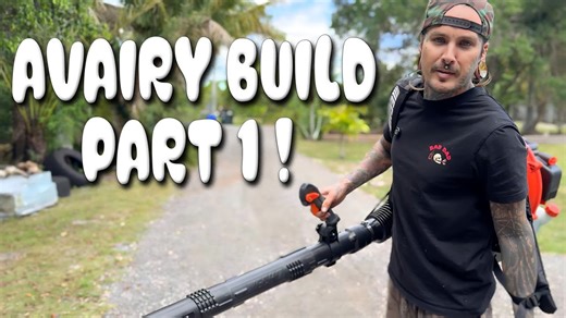 Finally Back on the Ranch – Let’s Work on the Aviary