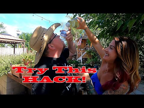 AMAZING HACK! How To Get Rid Of Pincher Bugs Easily at The Crouch Ranch