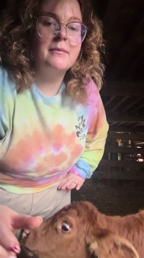 Daily Pep Talks: A Humorous Take on Milk and Greed