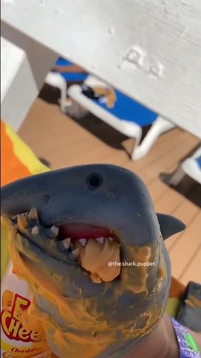 SHARK PUPPET ES SALVAVIDAS